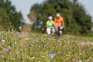 Blick über eine Sommerwiese und im Hintergrund ist ein Radlerpaar auf dem Main-Radweg zu erkenne