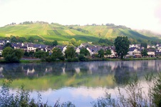 Blick vom Ufer über die Mosel zu einem Dorf mit seinen Weinbergen