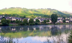 Blick vom Ufer über die Mosel zu einem Dorf mit seinen Weinbergen