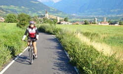 Ein Fahrradfahrer radelt auf dem Etschtal-Radweg an Wiesen vorbei - hinter ihm ist die Gemeinde Mals zu sehen