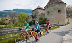 Drei Radfahrer radeln auf dem Etschtal-Radweg an Glurns mit seiner bekannten Stadtmauer und den drei Türmen vorbei