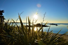 Blick zum Strand auf der Insel Batz