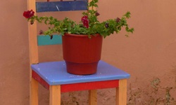 Ein bunter Stuhl, auf deim eine grüne Pflanze mit pinken Blüten in einem teracotta-farbenem Blumentopf steht