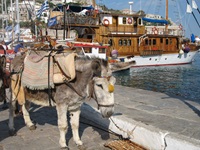 Ein Esel steht vollbepackt am Hafen angebunden, im Hintergrund sieht man Boote und Schiffe