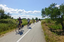 Eine Gruppe Fahrradfahrer fährt auf einem geteerten Radweg durch die Landschaft von Istrien