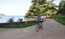 Ein Radler fährt an einer von Palmen eingefassten Uferpromenade entlang.