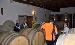 Eine Radlergruppe wird von einer Weingutbesitzerin durch ihren Weinkeller geführt.