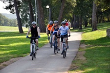 Mountainbiker fahren durch eine wunderschöne alte Allee.