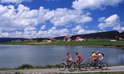 Eine Gruppe mit vier Radfahrern passiert einen der zahlreichen Seen, an denen die Jura-Route vorbeiführt.