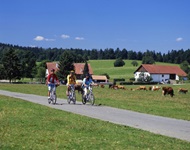 Drei Radler fahren auf der Jura-Route an friedlich grasenden Kühen und idyllisch gelegenen Höfen vorbei.