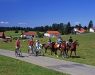 Drei Radfahrer auf der Jura-Route überholen eine Reitergruppe.