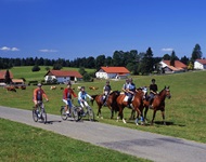 Drei Radfahrer auf der Jura-Route überholen eine Reitergruppe.