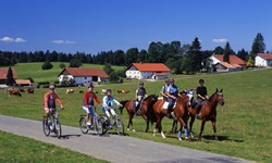 Drei Radfahrer auf der Jura-Route überholen eine Reitergruppe.