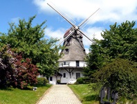 Ein Weg führt zu einer Windmühle bei Kappeln hinauf