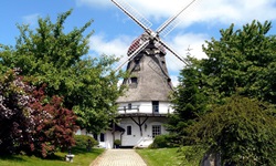 Ein Weg führt zu einer Windmühle bei Kappeln hinauf