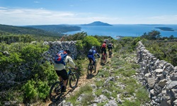 Vier Mountainbiker fahren auf einem von Steinmäuerchen eingerahmten Naturweg auf das tiefblaue Meer der Kvarner Bucht zu.