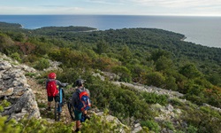 Zwei Mountainbiker - ein Mann und eine Frau - haben auf einem von Mäuerchen eingerahmten, grob geschotterten Weg Halt gemacht und genießen den Ausblick über die Kvarner Bucht.