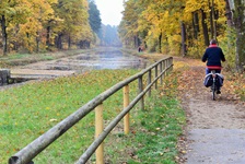 Ein Radfahrer radelt auf einem Radweg den König-Ludwig-Kanal im Herbst entlang