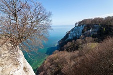 Blick auf den Königsstuhl auf Rügen, mit 118 m ü NN. der höchste Punkt der Insel