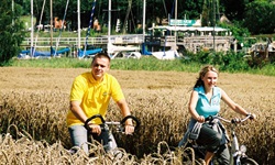Zwei Radler fahren auf einem Weg an Kornfeldern vorbei