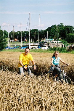 Zwei Radler fahren auf einem Weg an Kornfeldern vorbei