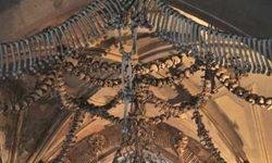 Blick in das Beinhaus in Kutna Hora auf der Prag-Wien einfach Radreise