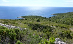Wunderschöner Panoramablick über die Insel Dugi Otok und das dahinter liegende tiefblaue Meer.