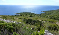 Herrlicher Blick über die Insel Dugi Otok und das tiefblaue Meer der Kvarner Bucht.