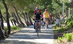 Eine Gruppe Fahrradfahrer radeln an der Küste, die mit Bäumen bewachsen ist, auf einem geteerten Weg entlang.
