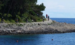 Eine Gruppe Radfahrer auf der Insel Losinj fährt auf einem asphaltierten Radweg am tiefblauen Meer der Kvarner Bucht entlang.