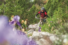 Eine Mountainbikerin bewältigt einen Naturtrail auf einer Insel der Kvarner Bucht. Im Bildvordergrund blühen lilafarbene Schwertlilien.