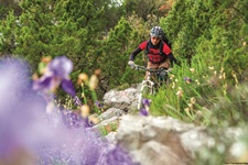 Eine Mountainbikerin genießt eine Naturstrecke auf einer Insel der Kvarner Bucht. Im Vordergrund blühen Schwertlilien.