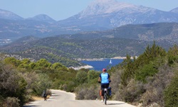 Eine Radlerin fährt auf der Kykladeninsel Poros auf einem asphaltierten Radweg dem Meer entgegen.