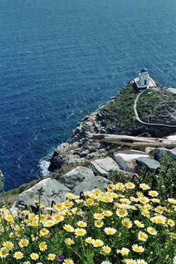 Die direkt am Meer gelegene Kirche von Kastro auf der Kykladeninsel Siphnos von oben gesehen. Im Bildvordergrund blühen gelbe Blumen.