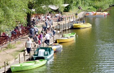 Bunte Ruderboote dümpeln beim Marburger Bootsverleih im Wasser.