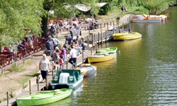 Bunte Ruderboote dümpeln beim Marburger Bootsverleih im Wasser.