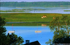 Blick über die Landschaft bei Roskilde