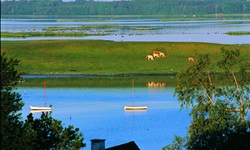 Blick über die Landschaft bei Roskilde