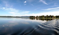 Blick über den Moldau-Stausee Lipno