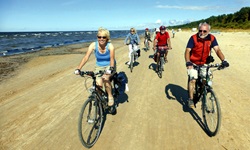 Eine Radlergruppe fährt direkt am Ostseestrand entlang.