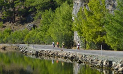 Vier Radler fahren auf einer Straße, links das Meer und auf der rechten Seite ein Stück Felswand sowie ein steiler Waldhang