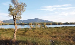 Impression mit Blick über Wiese zum Fluss bis hin zu den Bergen im Dalyan-Delta