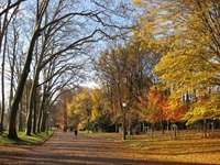 Park in Lyon