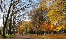 Park in Lyon