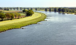 Schöner Panoramablick auf eine von grünen Wiesen und Bäumen gesäumte Flussbiegung der Maas.
