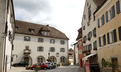 Blick auf den Ortskern von Maienfeld in der Schweiz