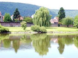 Blick auf eine Stadtmauer am Main-Radweg mit dem Main im Vodergrund
