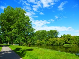 Landschaft am Main-Radweg
