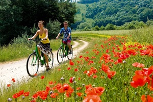Zwei Radfahrer radeln auf einem schottrigen Weg des Main-Radwegs an einem Mohnfeld vorbei