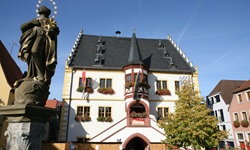Ein altes schön geschmücktes Rathaus